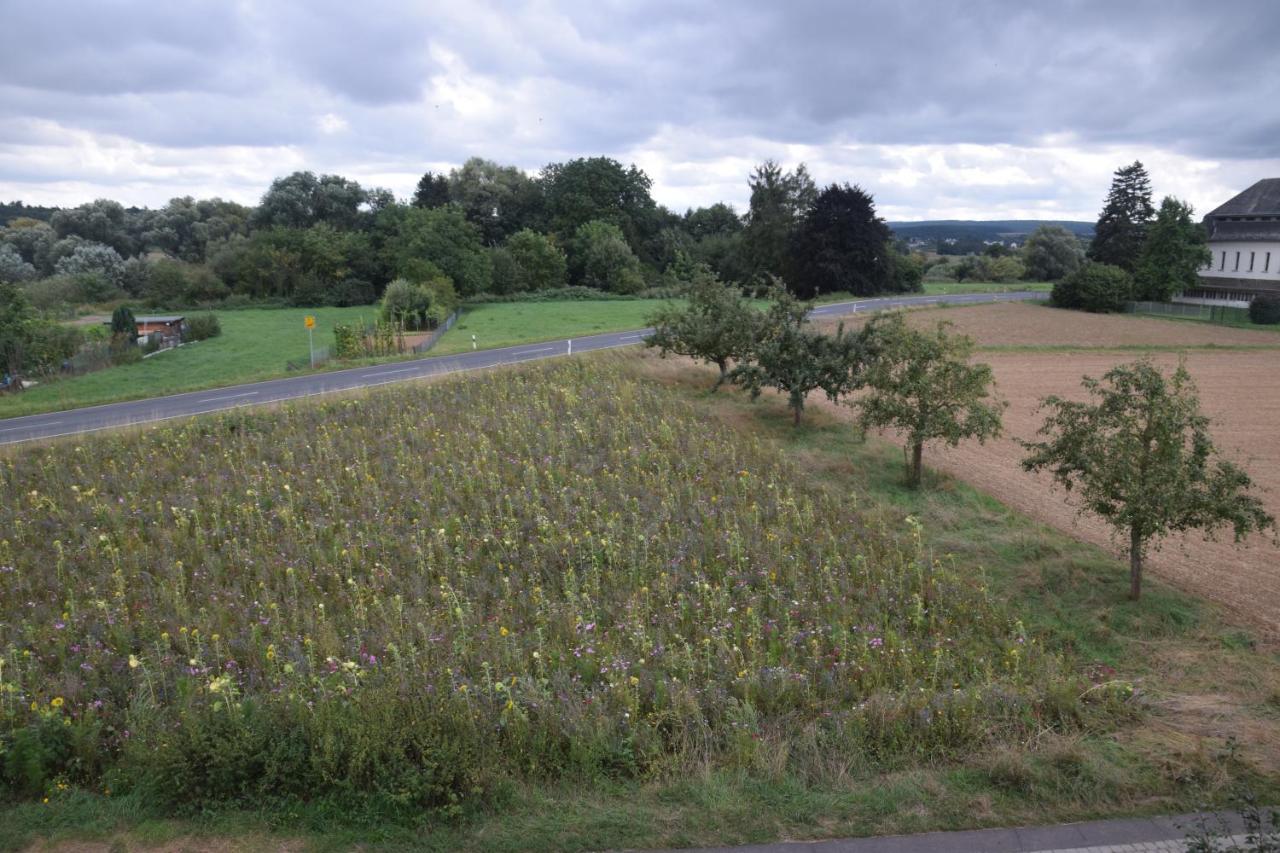 Fewo Landweg Apartment Limburg an der Lahn Bagian luar foto